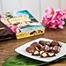 Hawaiian Host Alohamacs Milk Chocolate The Original Chocolate Covered Macadamia Nut, 5 Box Tote - 5 Ounces