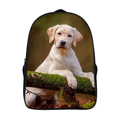 3D Cool sac à dos ergonomique motif Labrador pour adolescent