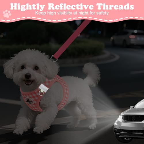 OFFCUP Hundegeschirr Leine Set für Hunde & Katzen Atmungsaktive Step-In Geschirr aus Mesh mit gepolsterter Weste Anti Zug Reflektierend Verstellbar Weich Welpengeschirr Katzengeschirr, Rosa, XS