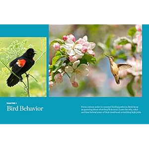 Birds and Blooms Backyard Basics More than 300 QAs about birds butterflies and plants in your landscape Paperback–February 14 2023