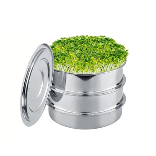 VNLCPX Barattolo Germogliatore Set, Germinatore per Semi con Coperture e 2 Vassoio, per Semi Germogli e Microgreens, Acciaio Inossidabile, 8.5in