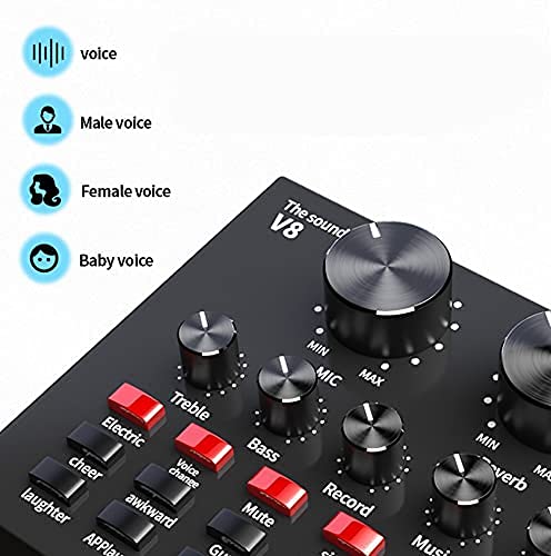 Ficha técnica DDNGEJ Paquete de micrófono condensador con efectos y cambiador de voz tarjeta de sonido en vivo micrófono de estudio brazo de tijera de suspensión de micrófono ajustable - Fernando Cortés