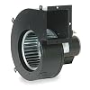 Dayton Rectangular OEM Blower, 3040 RPM, 1 Phase, Direct Drive, Steel 1 Speed 1TDU9-1 Each