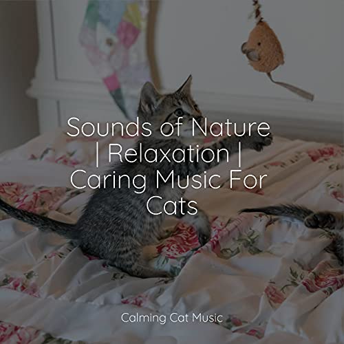 Sounds of Nature | Relaxation | Caring Music For Cats de Music for ...