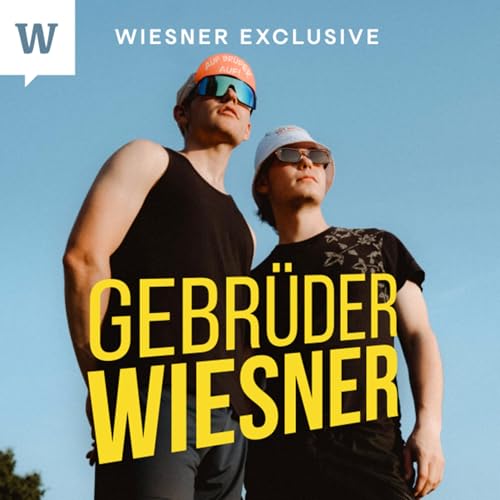 #202 - Bastelradio Wiesner
