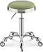 Sgabello con Ruote Sgabelli da ufficio su rotelle, Tatuaggio Sgabello con Green sedile in pelle sintetica, Altezza regolabile 45-55 cm, peso 160 Kg supportati, Sgabello sedia Officefor saloni manicure
