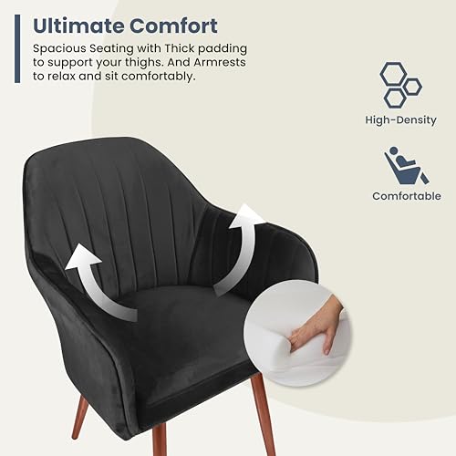Image of Vergo Plush Velvet Dining Chair, Cushion Seat, Wooden Frame, Metal Legs, Premium Accent Chair for Living Room, Bedroom, Dining Room, Cafe & Restaurant (Black)