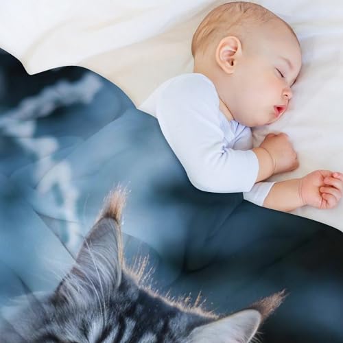 Couverture chat mignon pour chambre à coucher, canapé et camping - 5