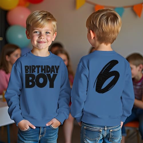 Birthday Boy Sweatshirts 1-8 Years Old Birthday Shirts Kids Pullover Toddler Baby Boy B-day Party Outfits Fall Tops3