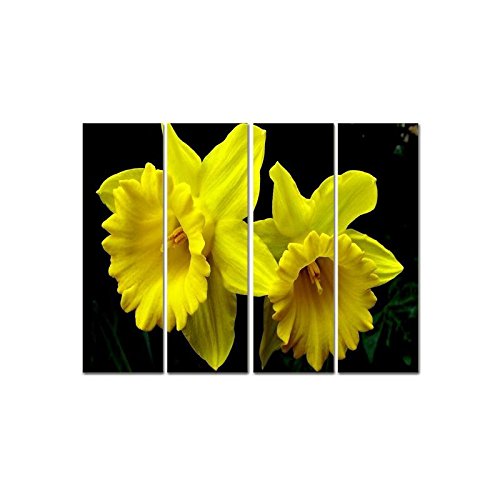 Little Jaipur Daffodil 4 Panel Wall Art Painting with Matte Coating