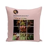 Fabulous Coussin 40x40 cm Arcimboldo Réseaux Sociaux Peintre Nature Morte