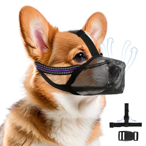 Maulkorb für Hunde Weicher Netzmaulkorb Atmungsaktiver Mesh für Kleine Hunde Reflektierende Einstellbare Hundemaulkorb zum Verhindern Fressen Lecken Bellen Ermöglicht Hecheln und Trinken (S Schwarz)