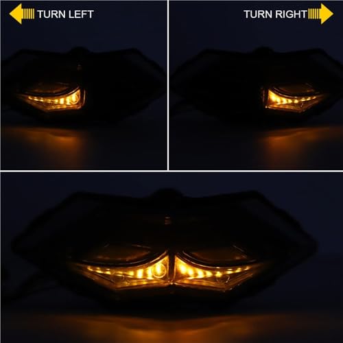 Trasero parada luz luces traseras de motocicleta freno DRL intermitente 300 2015 6