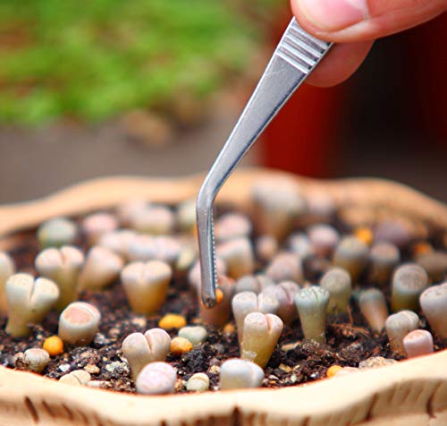 Set de pinzas de acero inoxidable para jardín y cocina, 3 piezas miniatura 3