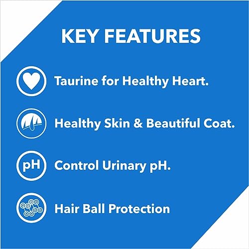 Drools Kitten Ocean Fish 4kg - View 3