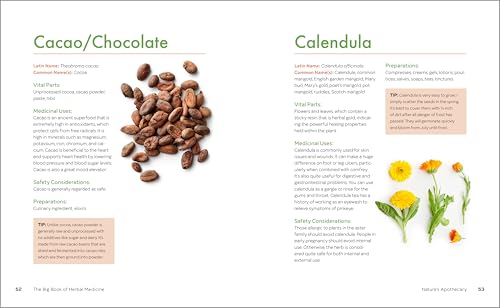 Callisto Sams, Tina The Big Book Of Herbal Medicine: 300 Natural Remedies For Health And Wellness thumb #7