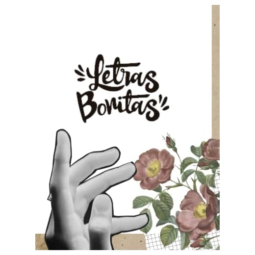 Letras Bonitas: libro de lettering en español, para principiantes y practicantes