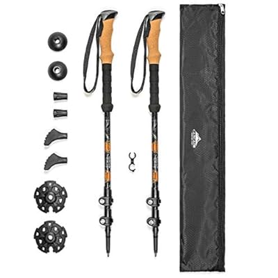 best trekking pole with camera mount