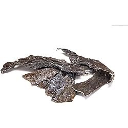 NatureHolic - Poda natural AlgaePlate - Para creadores y alimentos de fin de semana para camarones, caracoles y bagres en el acuario - 10 g