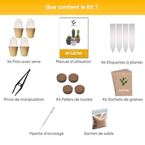 NOPALIA Premium-Kaktus-Set – Mini-Kaktus-Set – Mini-Kakteen – Weihnachtsgeschenkidee – Zimmerpflanze – fertig zum Wachsen – Garten im Innenbereich – originelles Weihnachtsgeschenk – Sukkulenten