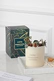 Christmas Pine Cone Flowers Scented Candles Soy Wax Aromatherapy Candle Romantic Pillar Candle Chris