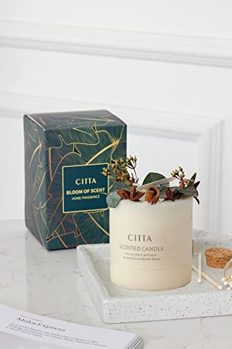 Christmas Pine Cone Flowers Scented Candles Soy Wax Aromatherapy Candle Romantic Pillar Candle Christmas Decorations For Home (Citrus Grape) #TOP5