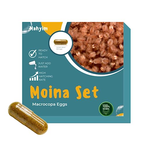 MAHYIM Two Capsule Moina MACROCOPA Water FLEA Eggs Alive Fresh for Killifish/Fish