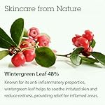 Blithe Korean Skin Care Products 6 Leaves Clear Essence for Rosacea & Redness Relief, BHA Toner Cooling Moisturizer for Face, Blackhead Treatment, Evening Primrose Wintergreen Green Tea 1.83 Oz - Image 4