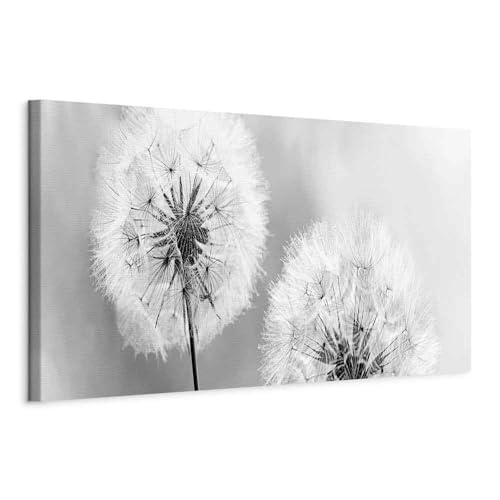 murando - Bilder Pusteblume 135x45 cm Vlies Leinwandbild 1 TLG Kunstdruck modern Wandbilder XXL Wanddekoration Design Wand Bild - Blumen Natur grau Pusteblumen b-B-0223-b-b