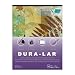 Grafix Clear 0.003 Dura-Lar Film, 19-Inch by 24-Inch, 25 Sheets