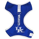 Pets First Collegiate Pet Accessories, Pet Harness, Kentucky Wildcats, Large
