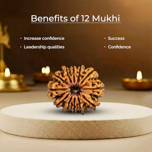 Image of Divine Hindu Original 12 Mukhi (Twelve Face) Indonesia Rudraksha | Dwadash Mukhi Rudraksh Bead for Meditation & Spiritual Growth | Natural Rudraksha for Men & Women | Prayer Bead for Success, Peace
