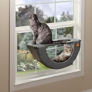 K&H Cat Window Perch, EZ Mount Double Cat Window Hammock, Holds 50 lbs