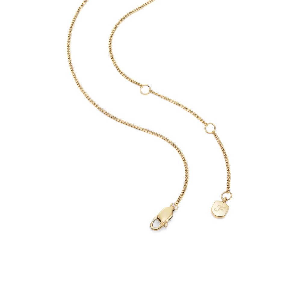 Fossil Collar de acero inoxidable