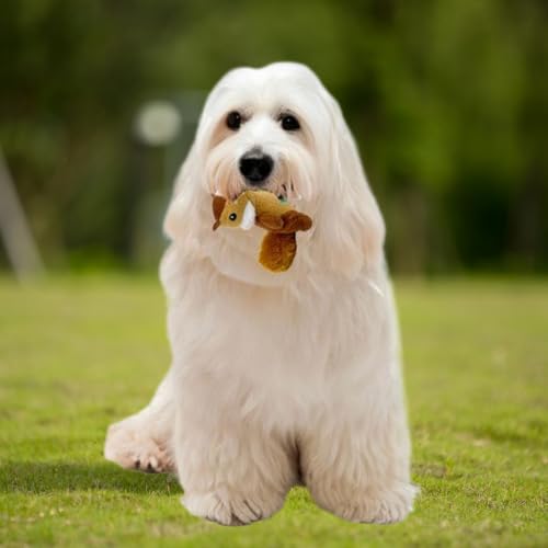 Jouet de cache-cache pour chiens et peluche interactive à mâcher - 7