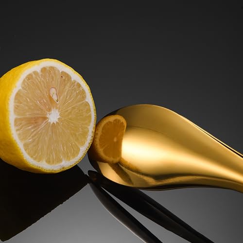 Pince de cuisine en acier inoxydable – Pince alimentaire polyvalente pour la cuisson et le service – Outil de boulangerie durable et facile à nettoyer – Option de couleur unique 26 x 4,5 cm