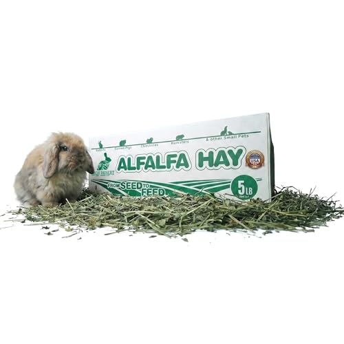 High Desert Alfalfa Hay, Protein Rich Soft Leaf Food for Young Growing Animals, Natural Rabbit Food and Guinea Pig Hay, Supports Digestive Health, Small Pet Supplies, Fresh Hand Packed 5 Lb Box