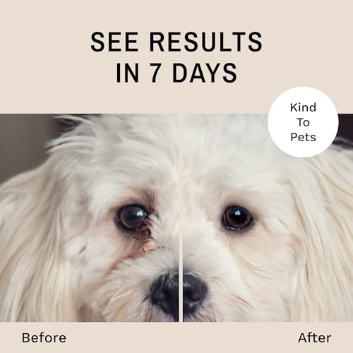 Eye Envy Tear Stain Wipes for Dogs | Textured to Gently Clean | Presoaked in 100% Natural Formula | Recommended by AKC Breeders, Vets, Groomers | Treats The Cause of Staining | 60 Count - Image 4