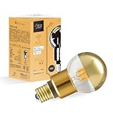 エジソンバルブLEDスマート E17 スマート電球 DUO ハーフミラー (ミニGLOBE) Alexa対応 LED電球 スマートled電球 電球色 調光 冷暖調色 Wi-Fi スマホで操作 音声操作