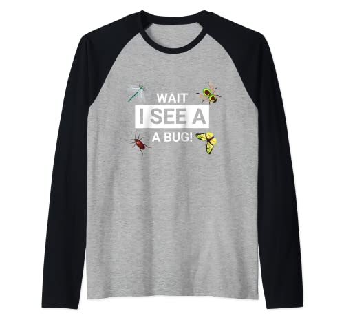 Wait i See a Bug Entomology Funny Entomologist Sayings gift Camiseta Manga Raglan