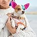 Pack of 6 Dog Hair Color Dye Temporary Non-Toxic Washable Pet Safe Paint for Dogs Cats Animals