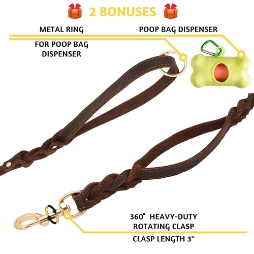 ADITYNA Leash Braided Leather and Handles