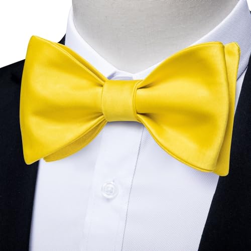 Pajarita clásica FMURY de seda blanca para hombre miniatura 2