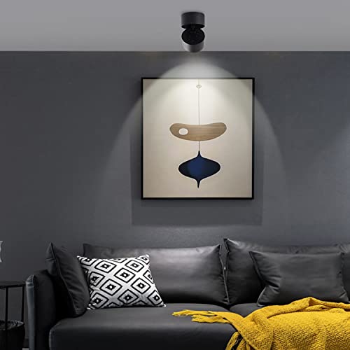 Image of LED Ceiling Spotlight Indoor Dimmable - Tuya Smart Life 360 Adjustable 12W COB Ceiling Downlight Aluminum Hard Wired For Bedrooms Rooms Corridors Painting Background Walls (Black, C (2.36 inch*3.93 inch))