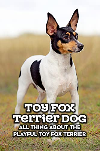 Toy Fox Terrier Dog: All Thing about The Playful Toy Fox Terrier: Toy Fox Terrier Dog Breed Complete Guide