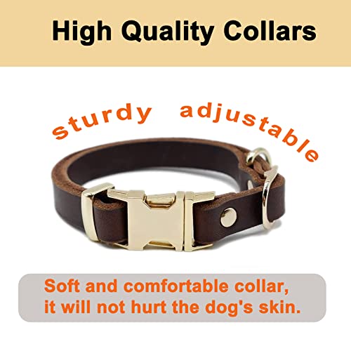 Leather Dog Leash 5ft for Small Dogs,Braided Leather Leash and Dog Collar Set,Strong Dog Training Leash,Soft Comfortable Dog Training Leather Leash and Dog Walking Leash for Small Dogs Brown Leather Dog Leash 5ft for Small Dogs,Braided Leather Leash and Dog Collar Set,Strong Dog Training Leash,Soft Comfortable Dog Training Leather Leash and Dog Walking Leash for Small Dogs Brown