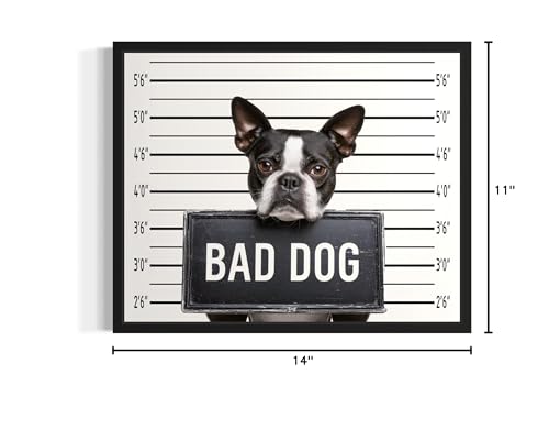 Image of Boston Terrier Mugshot Wall Black Framed Art Print Poster, Dog Pet Lover Picture Painting Artwork Bedroom Living Room Office Dining Room 150D (Boston Terrier Mugshot, 14 inch L x 11 inch W, Black Frame)