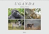 berggorillas ruanda reise PERFEKTES GESCHENK - Unsere Kalender sind als Geschenk für den Freund, die Freundin, den Mann, die Frau, Ehemann und Ehefrau, für den Jahrestag, Geburtstag, den Hochzeitstag, zur Verlobung, zum Einzug, für Kinder und Erwachsene, für frisch Verliebte oder ein altes Ehepaar, für Oma und Opa, für Papa und Mama, für jung und alt geeignet.