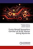 bldc motor 48v 5kw  Fuzzy Based Sensorless Control of BLDC Motor Using Hystersis
