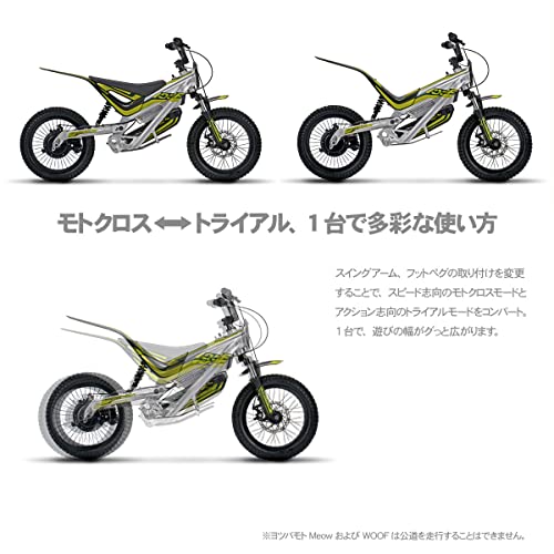 Amazon.co.jp: ダートフリーク: YOTSUBAMOTO ヨツバモト